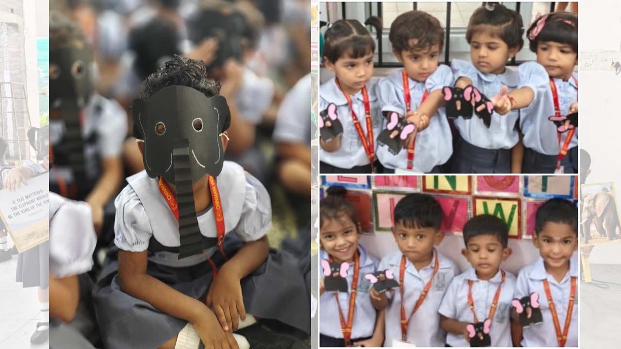 World Elephant Day Celebration